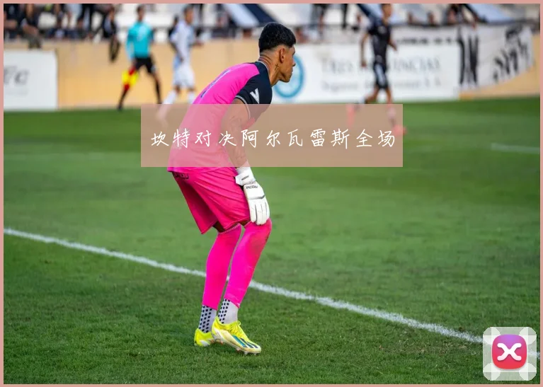 坎特对决阿尔瓦雷斯全场