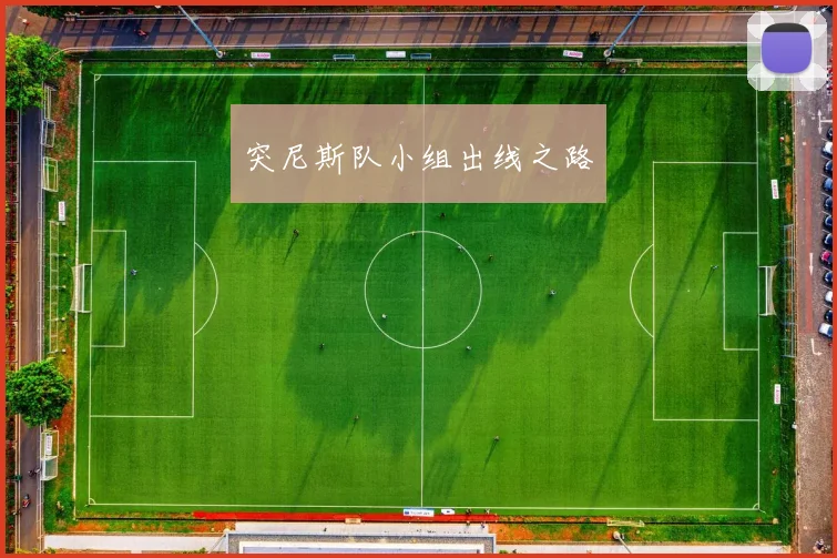 突尼斯队小组出线之路