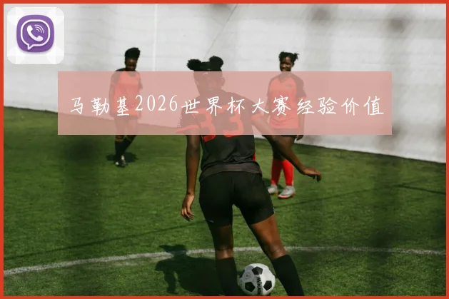 马勒基2026世界杯大赛经验价值