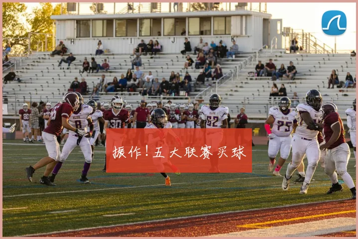 振作!五大联赛买球
