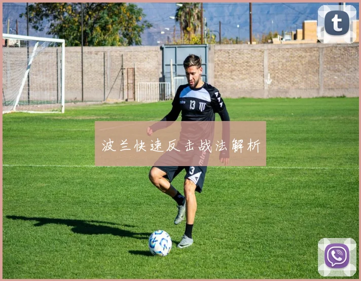 波兰快速反击战法解析
