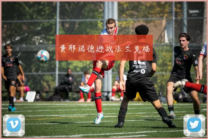 费耶诺德迎战法兰克福