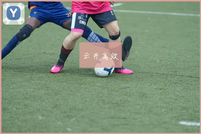 云开高效