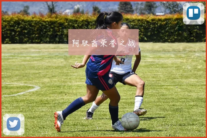 阿联酋荣誉之战