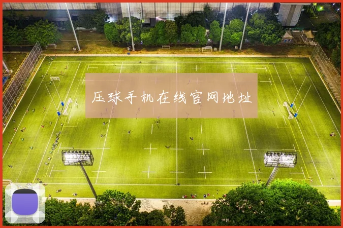 压球手机在线官网地址