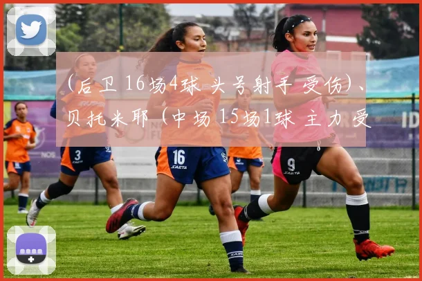 (后卫 16场4球 头号射手 受伤)、贝托米耶 (中场 15场1球 主力 受伤)、津加 (前锋 15场1球 主力 受伤)、阿姆里 (前锋 7场 主力 受伤)、哈马切 (前锋 21场2球 主力 受伤)