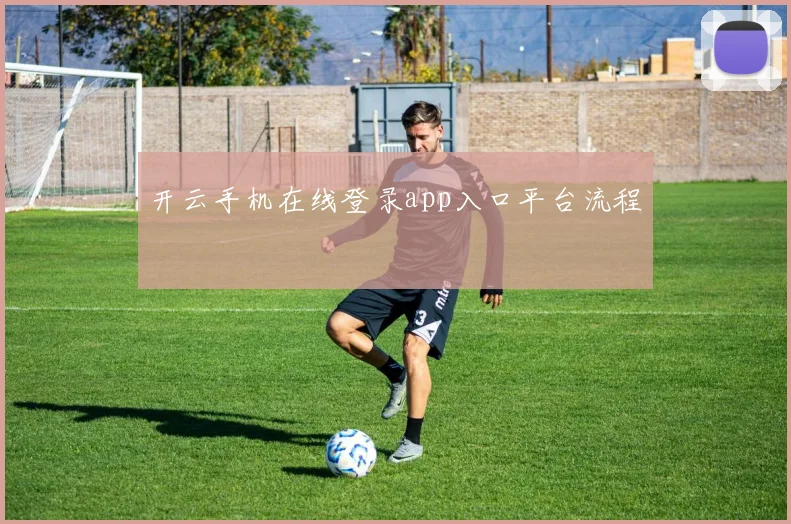 开云手机在线登录app入口平台流程