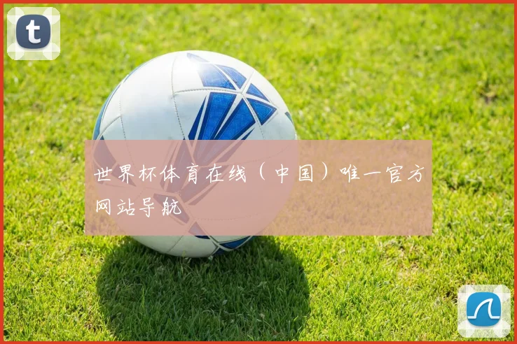 世界杯体育在线（中国）唯一官方网站导航