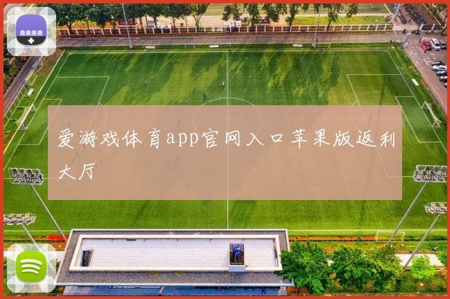 爱游戏体育app官网入口苹果版返利大厅