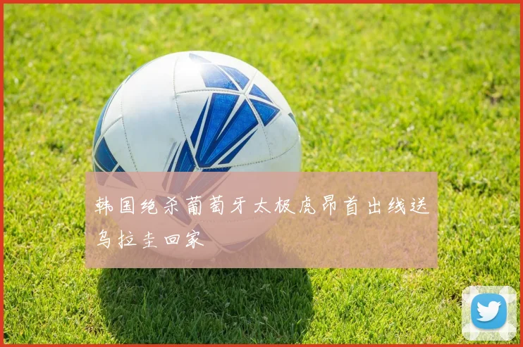 韩国绝杀葡萄牙太极虎昂首出线送乌拉圭回家