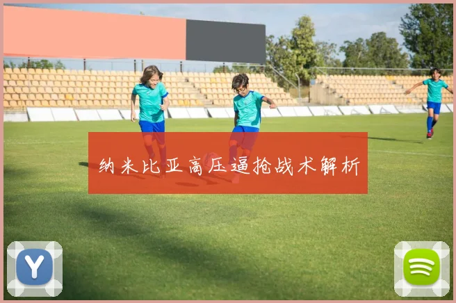 纳米比亚高压逼抢战术解析