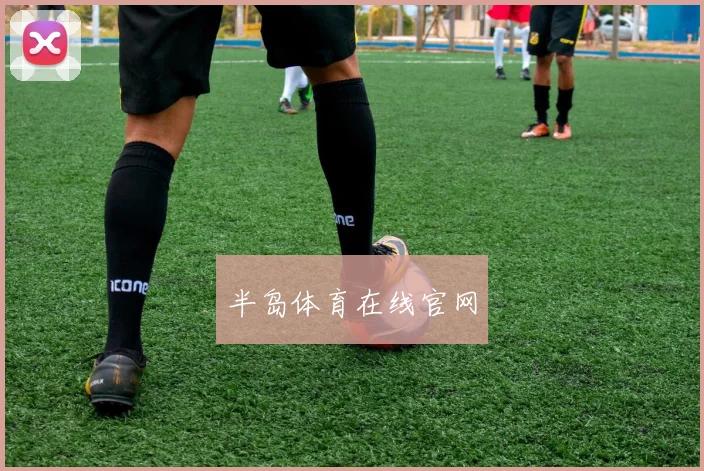 半岛体育在线官网