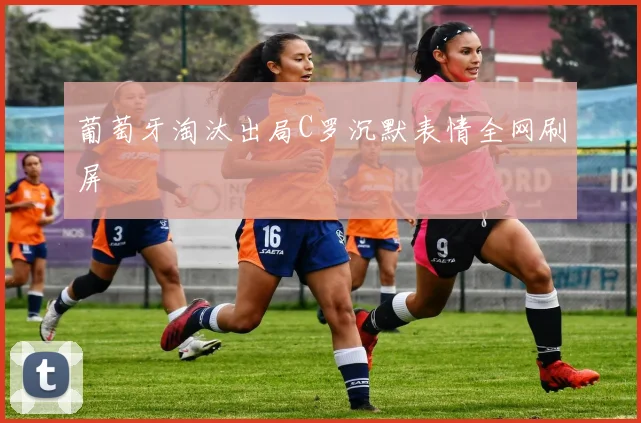 葡萄牙淘汰出局C罗沉默表情全网刷屏