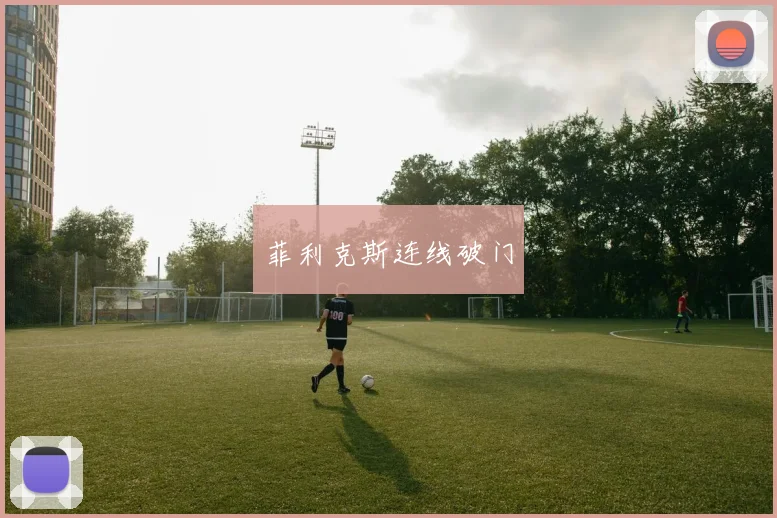 菲利克斯连线破门
