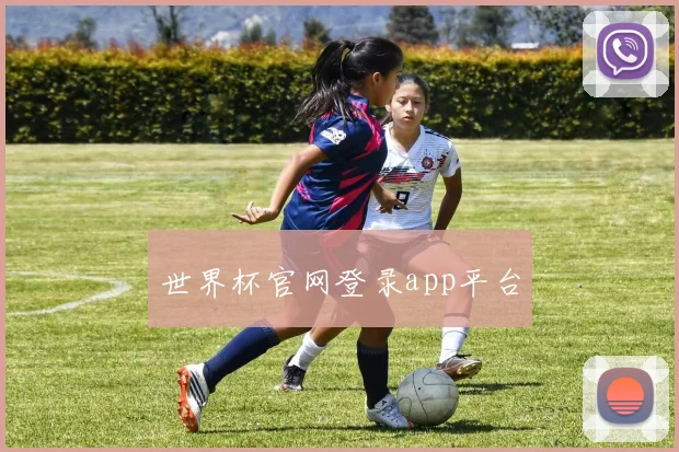 世界杯官网登录app平台
