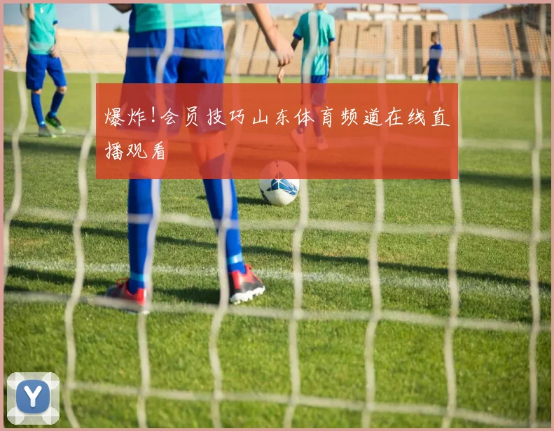 爆炸!会员技巧山东体育频道在线直播观看