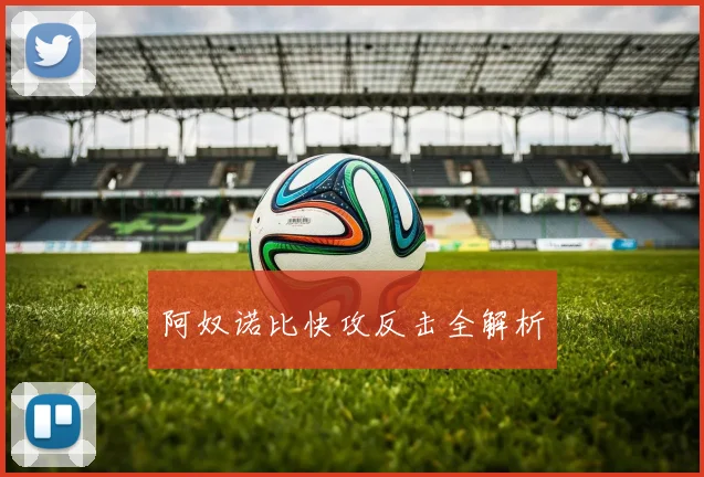 阿奴诺比快攻反击全解析