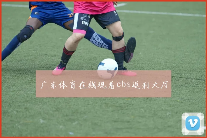 广东体育在线观看cba返利大厅
