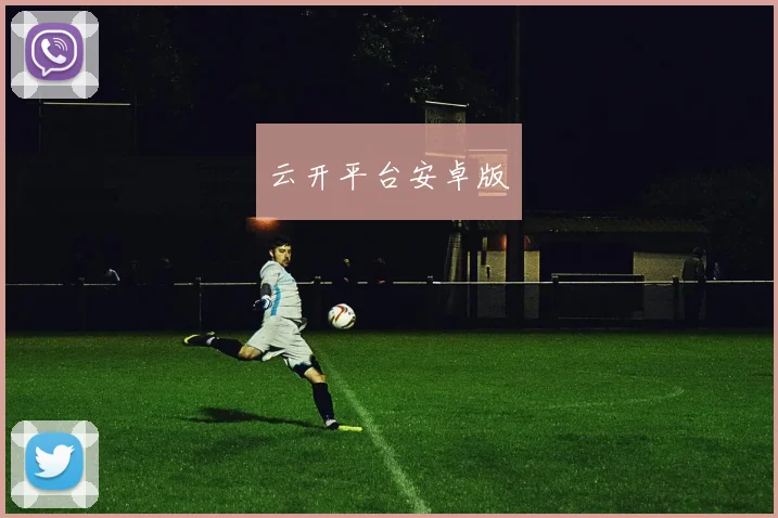 云开平台安卓版