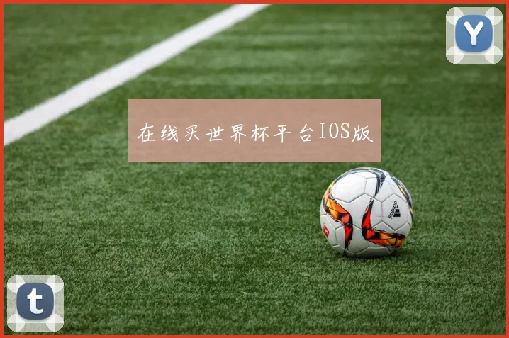 在线买世界杯平台IOS版