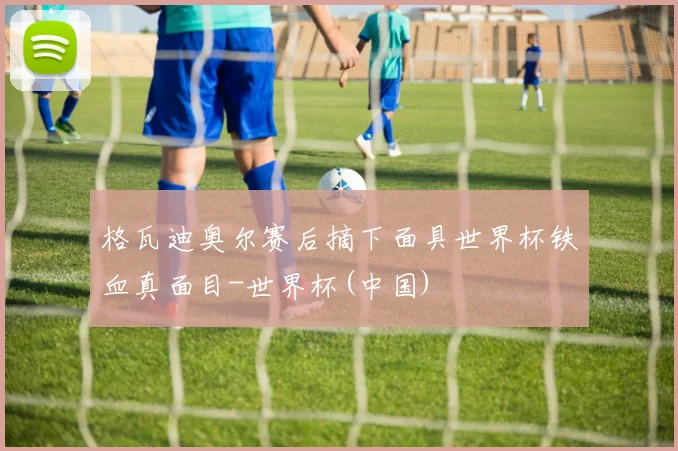 格瓦迪奥尔赛后摘下面具世界杯铁血真面目-世界杯(中国)
