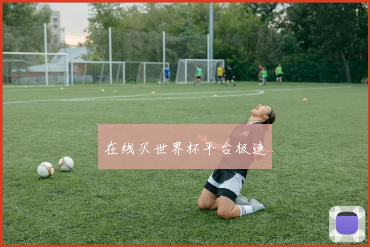 在线买世界杯平台极速