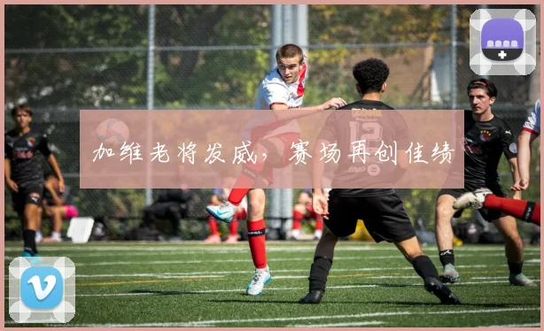 加维老将发威,赛场再创佳绩