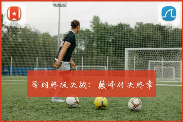 蒂姆终极决战：巅峰对决终章