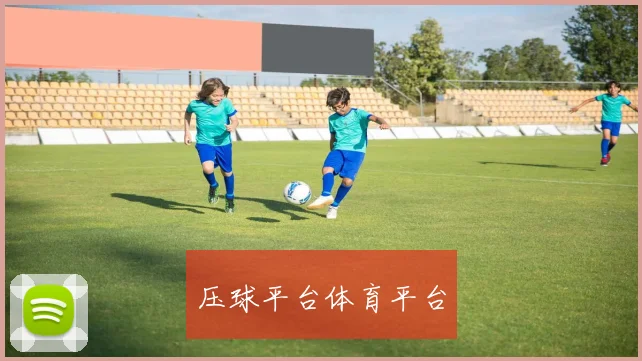 压球平台体育平台
