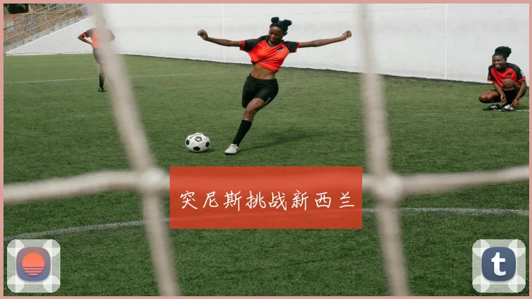 突尼斯挑战新西兰