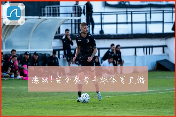 感动!安全参考斗球体育直播