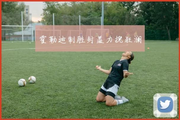 霍勒迪制胜封盖力挽狂澜