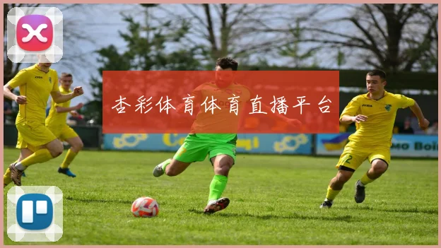 杏彩体育体育直播平台