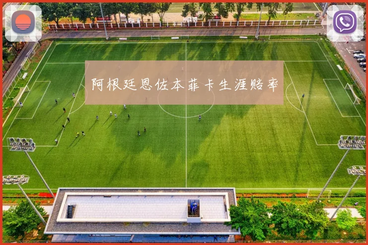 阿根廷恩佐本菲卡生涯赔率
