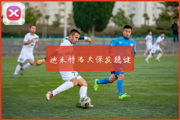 迪米特洛夫保发稳健