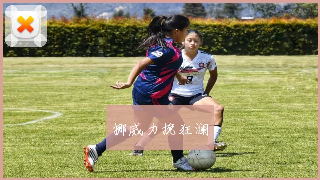 挪威力挽狂澜