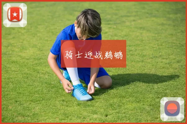 骑士迎战鹈鹕