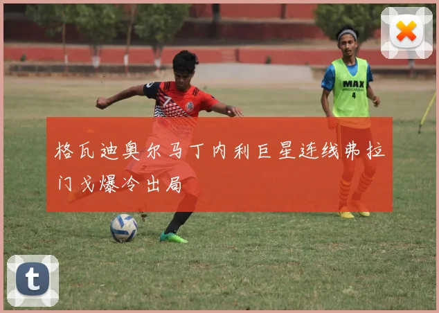 格瓦迪奥尔马丁内利巨星连线弗拉门戈爆冷出局