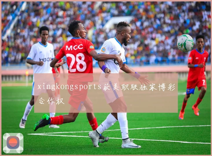 xingkongsports获美职联独家博彩合作权
