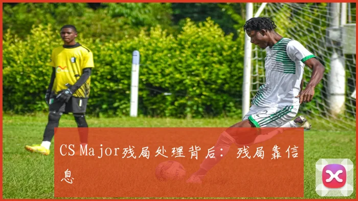 CS Major残局处理背后:残局靠信息