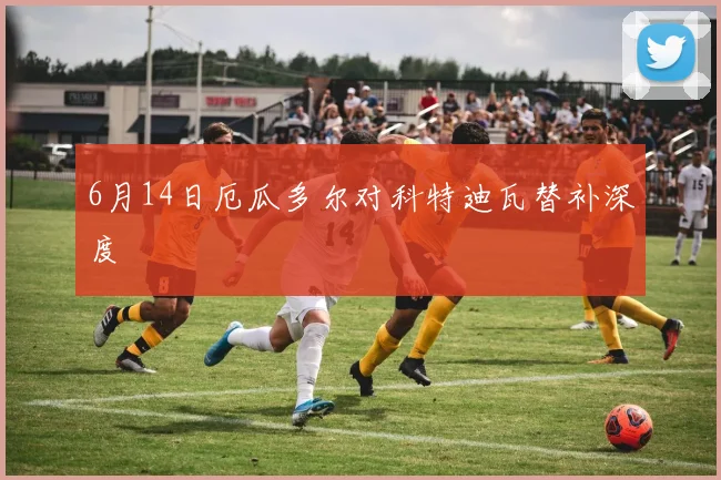 6月14日厄瓜多尔对科特迪瓦替补深度