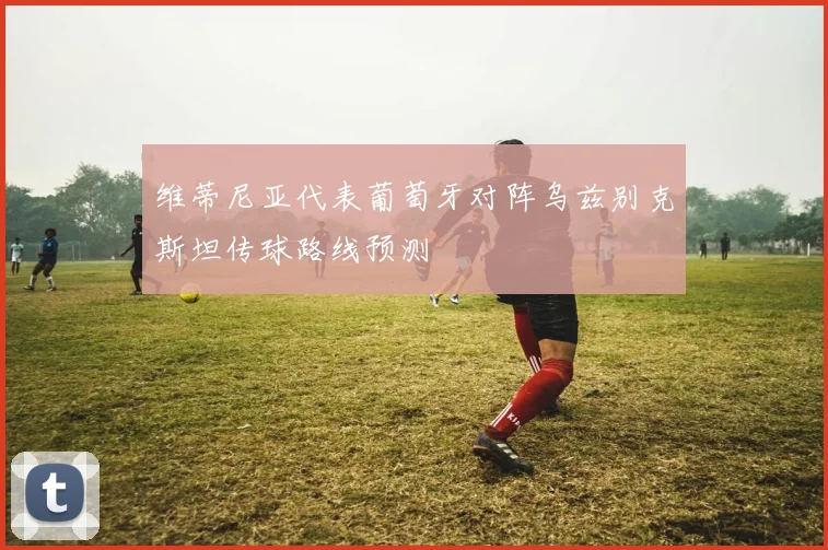 维蒂尼亚代表葡萄牙对阵乌兹别克斯坦传球路线预测